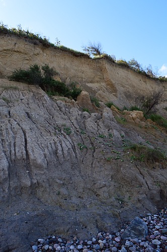 Nienhagen 
Erosionsprozesse an der Kliffk&uuml;ste.<br />
Coastline - Cliff, Coastal Landscape, Nature conservation, Erosion, Coastal Defence
Philipp Paysen, EUCC-D